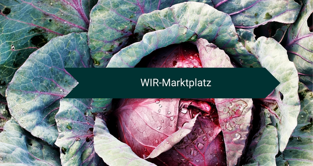 Marktplatz_NL