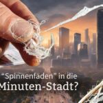 Spinnenfäden