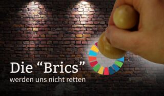 “Die BRICS“ werden uns nicht retten!