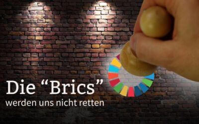 “Die BRICS“ werden uns nicht retten!